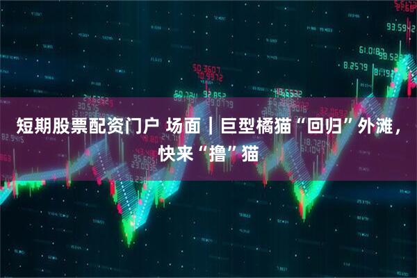短期股票配资门户 场面｜巨型橘猫“回归”外滩，快来“撸”猫