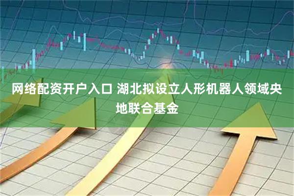 网络配资开户入口 湖北拟设立人形机器人领域央地联合基金
