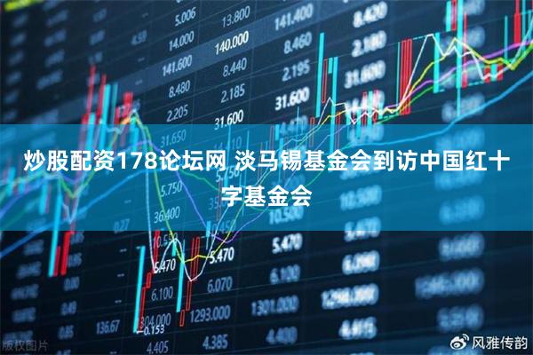 炒股配资178论坛网 淡马锡基金会到访中国红十字基金会