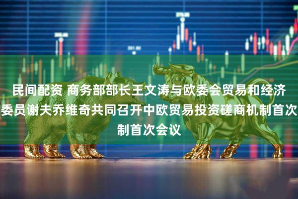 民间配资 商务部部长王文涛与欧委会贸易和经济安全委员谢夫乔维奇共同召开中欧贸易投资磋商机制首次会议